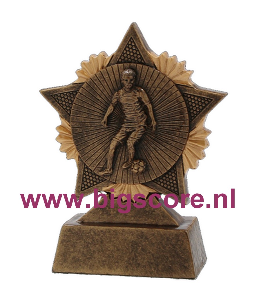Voetbal Heren resin standaard FG707